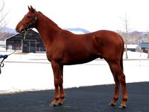 ����å��ǳ��������ɽ�����ޤ�