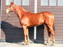 ����å��ǳ��������ɽ�����ޤ�