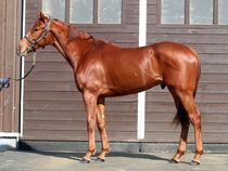 ����å��ǳ��������ɽ�����ޤ�