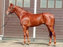 ����å��ǳ��������ɽ�����ޤ�