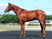 ����å��ǳ��������ɽ�����ޤ�