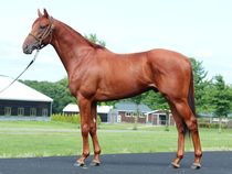 ����å��ǳ��������ɽ�����ޤ�