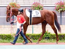 ����å��ǳ��������ɽ�����ޤ�