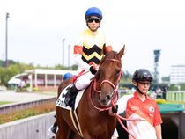 ����å��ǳ��������ɽ�����ޤ�