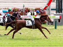 ����å��ǳ��������ɽ�����ޤ�