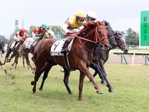 ����å��ǳ��������ɽ�����ޤ�