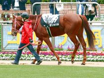 ����å��ǳ��������ɽ�����ޤ�