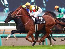 ����å��ǳ��������ɽ�����ޤ�