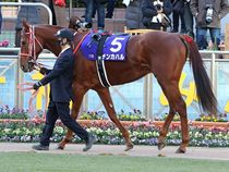 ����å��ǳ��������ɽ�����ޤ�