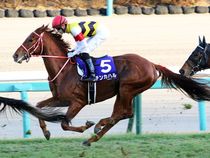 ����å��ǳ��������ɽ�����ޤ�