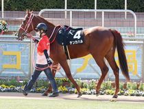 ����å��ǳ��������ɽ�����ޤ�