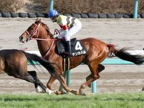 ����å��ǳ��������ɽ�����ޤ�