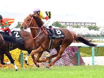 ����å��ǳ��������ɽ�����ޤ�