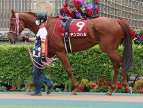 ����å��ǳ��������ɽ�����ޤ�