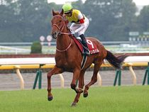 ����å��ǳ��������ɽ�����ޤ�