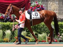 ����å��ǳ��������ɽ�����ޤ�