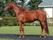 ����å��ǳ��������ɽ�����ޤ�