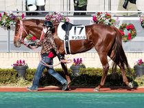 ����å��ǳ��������ɽ�����ޤ�