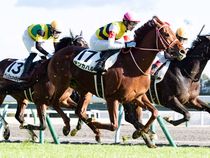 ����å��ǳ��������ɽ�����ޤ�