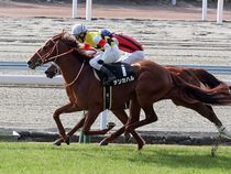 ����å��ǳ��������ɽ�����ޤ�