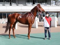 ����å��ǳ��������ɽ�����ޤ�