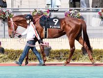 ����å��ǳ��������ɽ�����ޤ�