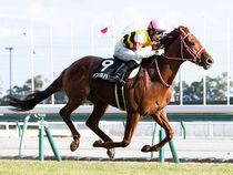 ����å��ǳ��������ɽ�����ޤ�