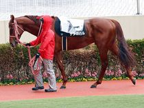 ����å��ǳ��������ɽ�����ޤ�