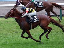 ����å��ǳ��������ɽ�����ޤ�