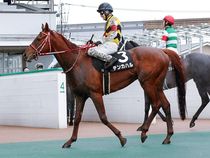 ����å��ǳ��������ɽ�����ޤ�