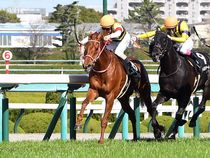 ����å��ǳ��������ɽ�����ޤ�