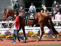 ����å��ǳ��������ɽ�����ޤ�