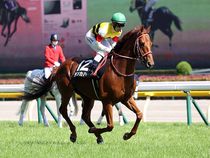 ����å��ǳ��������ɽ�����ޤ�