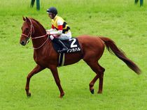 ����å��ǳ��������ɽ�����ޤ�