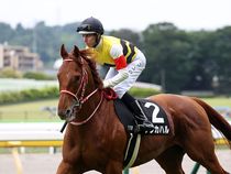 ����å��ǳ��������ɽ�����ޤ�