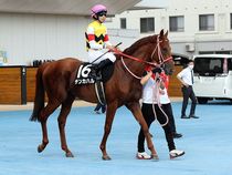 ����å��ǳ��������ɽ�����ޤ�