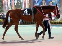 ����å��ǳ��������ɽ�����ޤ�