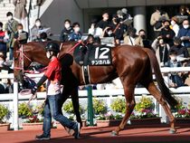 ����å��ǳ��������ɽ�����ޤ�