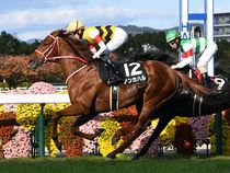 ����å��ǳ��������ɽ�����ޤ�