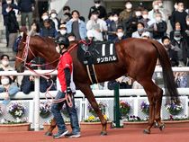 ����å��ǳ��������ɽ�����ޤ�