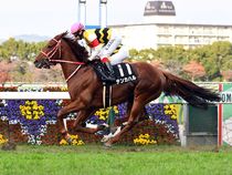 ����å��ǳ��������ɽ�����ޤ�