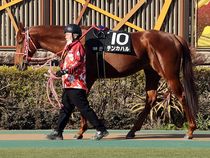 ����å��ǳ��������ɽ�����ޤ�