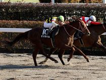 ����å��ǳ��������ɽ�����ޤ�