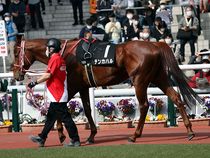 ����å��ǳ��������ɽ�����ޤ�