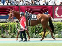 ����å��ǳ��������ɽ�����ޤ�