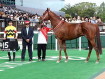 ����å��ǳ��������ɽ�����ޤ�