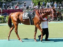 ����å��ǳ��������ɽ�����ޤ�