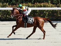 ����å��ǳ��������ɽ�����ޤ�