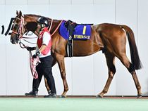 ����å��ǳ��������ɽ�����ޤ�