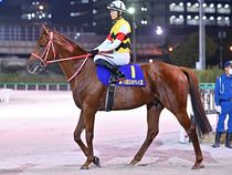 ����å��ǳ��������ɽ�����ޤ�